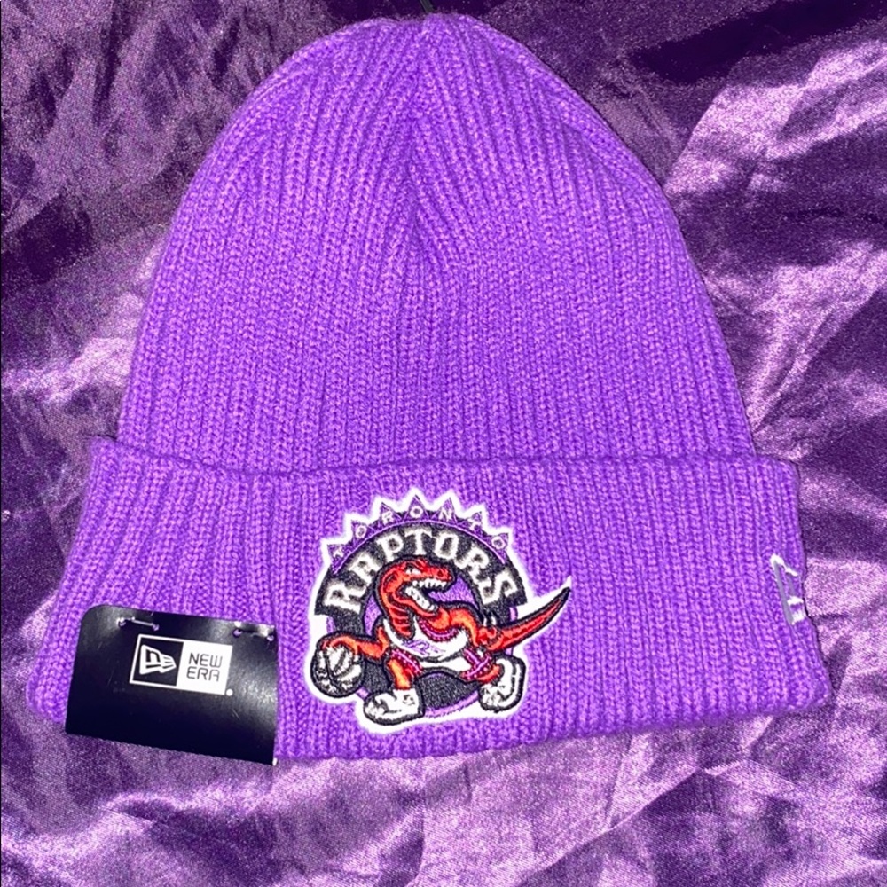 Raptors beanie